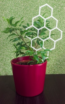 PODPÓRKA KWIATÓW ROŚLIN PERGOLA MIÓD 26cm biała