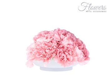 GĄBKA FLORYSTYCZNA MOKRA CIOTOLA MINI Z PODSTAWKĄ