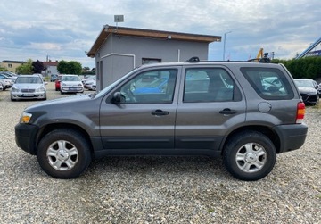 Ford Escape I 2004 Ford Escape Ford Escape, zdjęcie 4