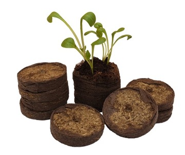 Кокосовые диски для проращивания, 20 шт, 3,5 см, торфяной субстрат для рассады