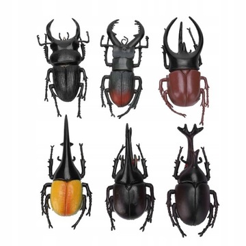 6 sztuk Symulacja Beetle Owad Model Halloween