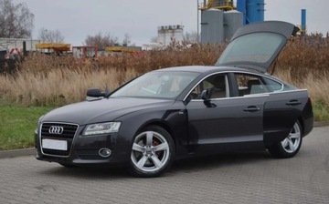 Audi A5 8T Sportback 2.0 TDI 143KM 2010 Audi A5 Sportback 2010r, 2.0 TDI, Automat, Skora, Xenon, Navi, Swietnie ut, zdjęcie 19