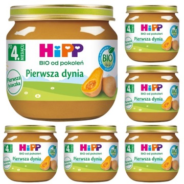 HiPP BIO Pierwsza DYNIA po 4 miesiącu, 6x80g