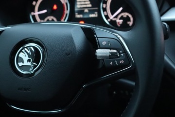 Skoda Fabia III Hatchback Facelifting 1.0 TSI 95KM 2021 Skoda Fabia 1.0 TSI, Salon Polska, 1. Właściciel, zdjęcie 15