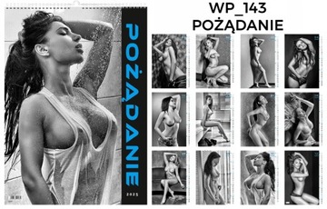 Multi -Panel Calendar 2025 большая стена 13 страниц