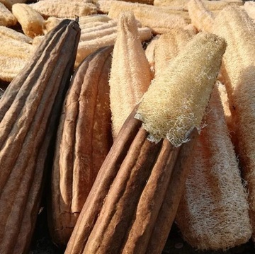 Натуральная растительная губка для ванны LOOFAH