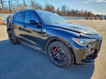 Alfa Romeo Stelvio 2019 Alfa Romeo Stelvio Alfa Romeo Stelvio Quadrifoglio AWD 2019 od ubezpieczal, zdjęcie 1