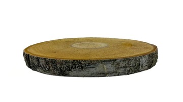 PLASTER DREWNA KRĄŻEK BRZOZA PODKŁADKA 30-40 CM