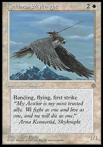 Kjeldoran Skyknight ICE stan Good GRATISY Pjotrekk