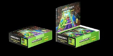 MINECRAFT SASZETKI Z KARTAMI
