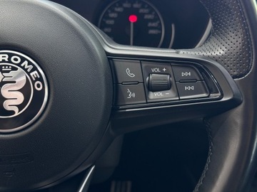 Alfa Romeo Stelvio SUV Facelifting 2.0 Turbo 280KM 2020 Alfa Romeo Stelvio Veloce Q4 / 1 właściciel / Salo, zdjęcie 21