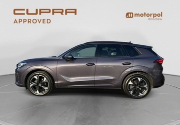 Cupra Terramar SUV 1.5 eTSI 150KM 2025 Cupra Terramar Pakiety, SENNHEISER, Sportowe fotele, ACC, Panorama, Bezwy, zdjęcie 2