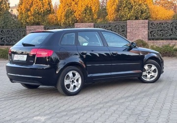 Audi A3 8P Hatchback 3d 1.4 TFSI 125KM 2010 Audi A3 Sportback 1.4B 125Ps Ledy Bixenon Klimatyzacja BEZWYPADKOWA 1 Wlas, zdjęcie 16