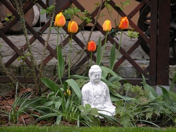 Budda figura betonowa do ogrodu
