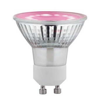 Paulmann Żarówka do roślin GROW PLANT GU10 LED 3,5W 1100K