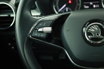 Skoda Fabia IV 1.0 MPI 80KM 2022 Skoda Fabia 1.0, Salon Polska, Serwis ASO, Klima, zdjęcie 14