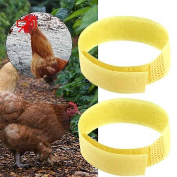 2x Nylon Rooster Anti Crow Collar Neck Belt Chicken Collar No Crow Yellow