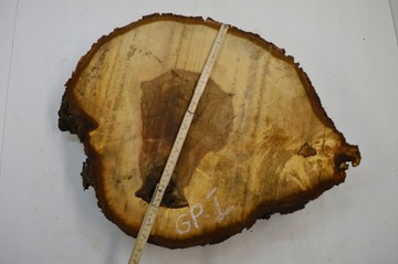 Срез каштана 58х49см Толщина: 7 см для смол