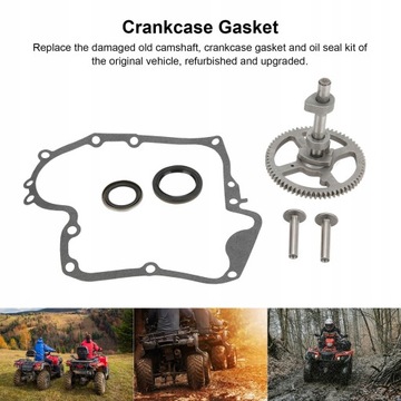 КОМПЛЕКТ РАСПРЕДВАЛА BRIGGS 84005207 793880