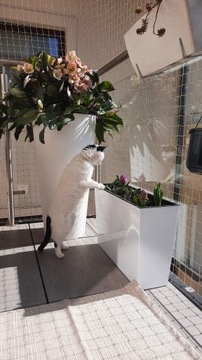 ЗАЩИТНАЯ СЕТКА ДЛЯ КОШЕК ТОЛЩИНОЙ 1,5 ММ ДЛЯ БАЛКОНА, СЕТКА 40 ММ, ОБРЕЗАННАЯ ПО ​​РАЗМЕРУ