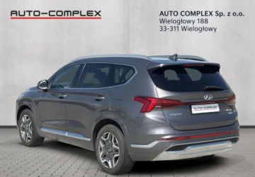 Hyundai Santa Fe IV SUV PHEV 1.6 T-GDI PHEV 265KM 2023 Hyundai Santa Fe Hyundai Santa Fe 1.6 T-GDI HEV Platinum 4WD 1.6 265KM, zdjęcie 2