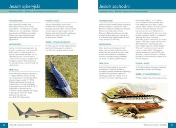 СОВЕТЫ ПО ОБОРУДОВАНИЮ FISHING ATLAS + ПАКЕТ ПОЛЬСКОЙ РЫБЫ ATLAS 140 видов