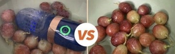 ОЗОНАТОР для продуктов питания, овощей, мяса, фруктов, рыбы