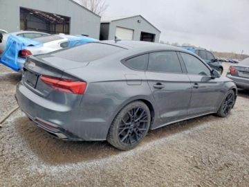 Audi A5 F5 2020 Audi A5 Limousine 2020 AUDI A5 TECHNIK 2.0 Benzyna 255KM, zdjęcie 4