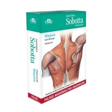 Anatomia Sobotta Flashcards fiszki Mięśnie PL
