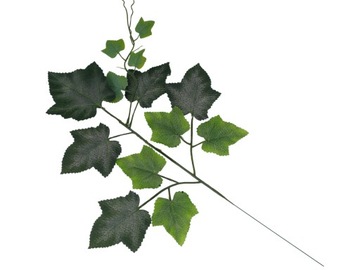 ДЕКОРАТИВНЫЕ ВИНОГРАДНЫЕ ЛИСТЬЯ МАТОВЫЕ ВИНОГРАДНЫЕ ЛИСТЬЯ КРАСИВЫЕ НАТУРАЛЬНЫЕ ЛИСТЬЯ 48 см