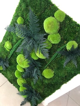 PANEL Z MCHU I ROŚLIN STABILIZOWANYCH 1m x 1m MECH