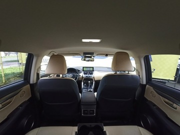 Lexus NX I SUV Facelifting 300h 197KM 2018 Lexus NX Salon, 2 wł., AWD, Bogata Wer., Serwis,, zdjęcie 10