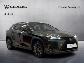 Lexus UX Crossover Facelifting 2.0 250h 184KM 2023 Lexus UX 250h GPF F Sport Design 2WD Lexus UX 250h, zdjęcie 7