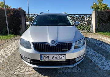 Skoda Octavia III Kombi 1.6 TDI CR DPF 110KM 2014 Skoda Octavia Skoda Octavia 1.6 TDI (Green tec) Ambition 1.6 Diesel 110KM, zdjęcie 15