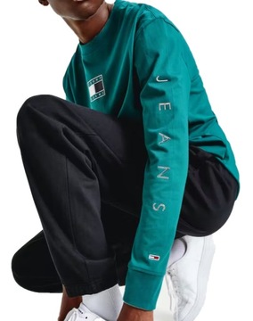 Мужская толстовка Tommy Hilfiger с длинным рукавом DM0DM12554L6N r.L