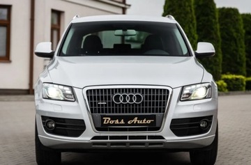 Audi Q5 I SUV 2.0 TDI 170KM 2010 Audi Q5 2.0TDI 170KM Ledy SKora Navi Alu Serwi..., zdjęcie 3