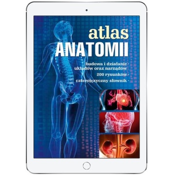 Atlas anatomii