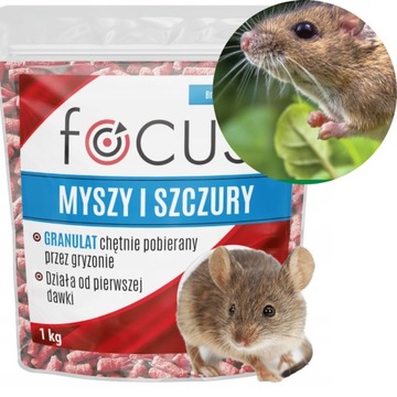 Trutka na szczury i myszy Focus granulat 1kg SILNA TRUCIZNA NA GRYZONIE