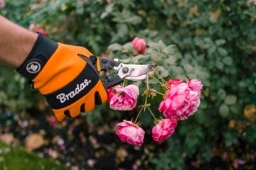 МЕРЫ ПРЕДОСТОРОЖНОСТИ ЦВЕТОЧНОГО КУСТА, ПРОЙДЕННОЕ ЛЕЗВИЕ