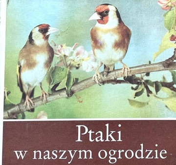 Ptaki w naszym ogrodzie Praca zbiorowa