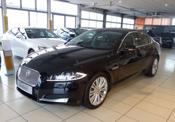 Jaguar XF I Sedan Facelifting 2.2 D 200KM 2015 Jaguar XF 2.2 D 200KM Premium Luxury-Krajowy,I...