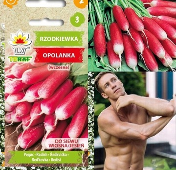 NASIONA WARZYW Rzodkiewka Opolanka - WCZESNA