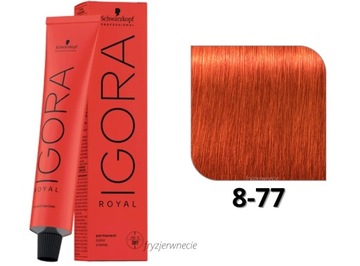 Schwarzkopf Igora Royal Farba do włosów 8-77