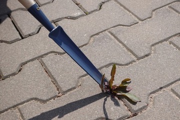 Измельчитель сорняков DAIRY ROOT PULLER с деревянной ручкой