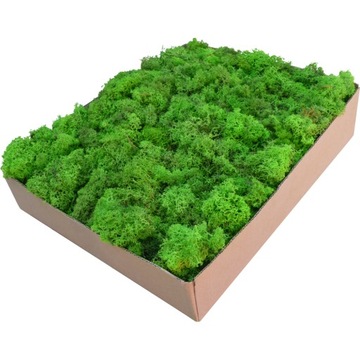 Отходы от Moss Moss Moss Light Green Cardboard 1 кг картон
