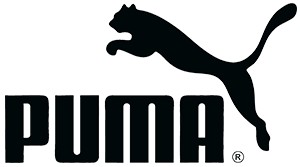 Bluza męska sportowa z kapturem Puma moro S