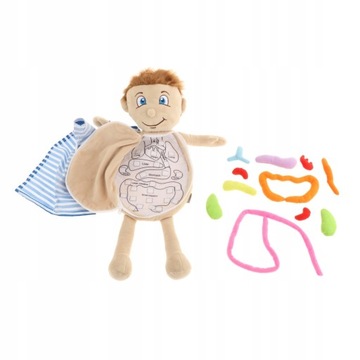 Ludzkie ciało anatomia zabawka nauka zabawka