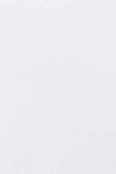 Рубашка мужская белая Próchnik PM23 S