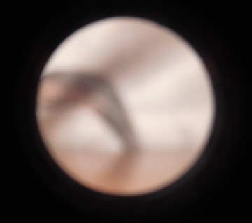 Объектив PORST Color Reflex Auto D 2,8 55 мм M42