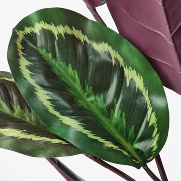 IKEA FEJKA CALATHEA sztuczna roślina 100 cm